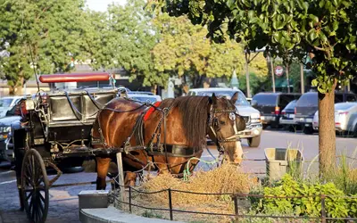 Embassy Suites by Hilton Omaha Downtown Old Market