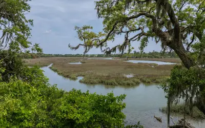 Hampton Inn Beaufort