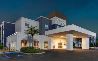 Springhill Suites By Marriott Baton Rouge South