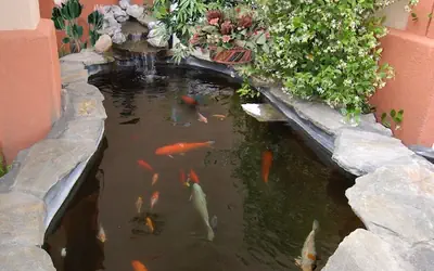 Best Western Antelope Inn & Suites