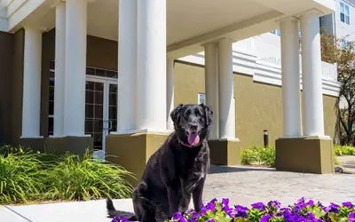 Homewood Suites by Hilton Erie