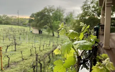 The Guesthouse at The Lonely Oak