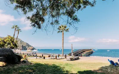 White s Landing Catalina Camp