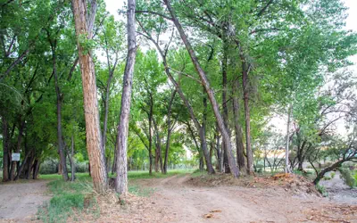 Riverwood Resort on the Gunnison