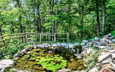 Laurel Valley Mountain Retreat