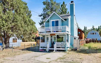 JAY Bird Landing Escape #2308