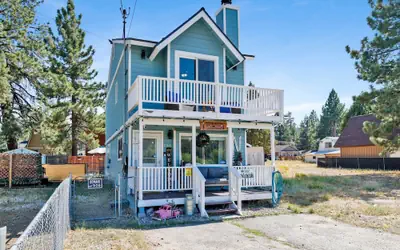 JAY Bird Landing Escape #2308