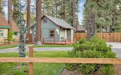 Beary Cozy Cabin #2315