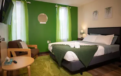 Downtown Apt Walk to all Stadiums Conv Center