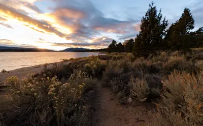 Reality Escape #2466