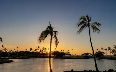 Island Elegance Prime Spot