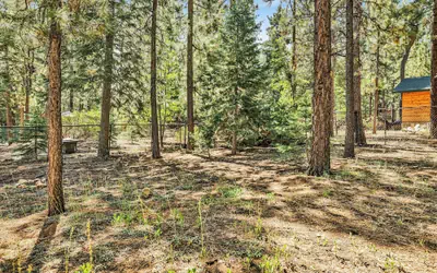 Four Little Bears Cabin #2490