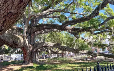 NEW Canopy Cabana Luxury Downtown Apt