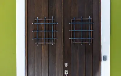 150 Sol by Stay with Bear