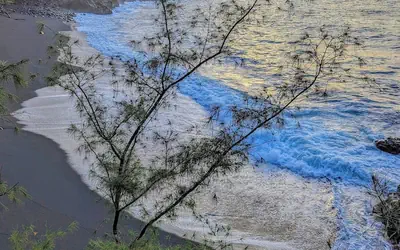 Kehena Mauka Nui LGBTQ Clothing Optional