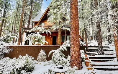 The Wilkie Cabin #339