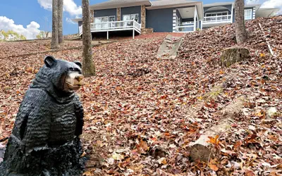 The Ellijay Resort