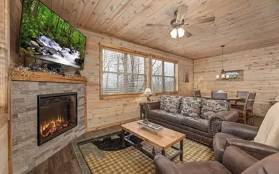 Lux Cabin Smoky Mtn View Dog Friendly Hot Tub