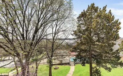 Treetop Vibes on Horseshoe Bend