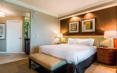 MGM 10719 Signature Strip View Studio