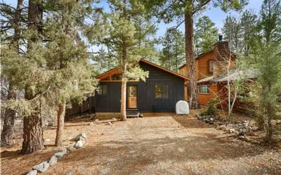 Mama Bear's Cozy Cabin