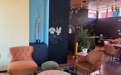 Hotel Lindo
