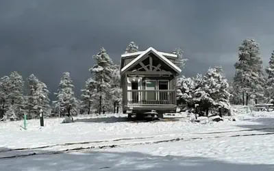 Luxury Cabin with Forest View 5B