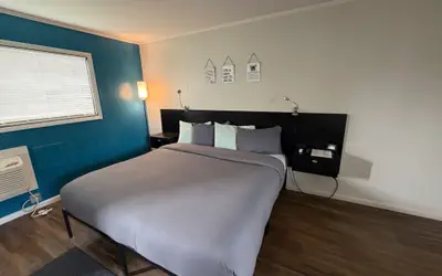 The Cedar Micro Resort