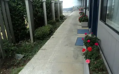 Lighthouse Cove Inn