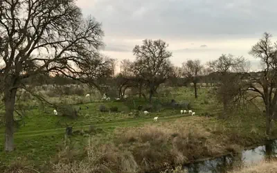 City on a Hill at Spring Creek