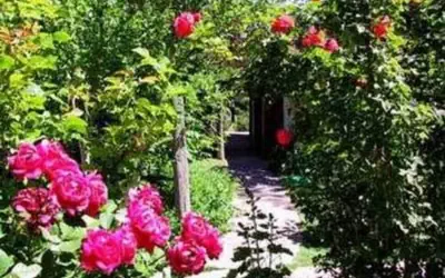 Casas de Suenos Old Town Historic Inn, an Ascend Collection Hotel