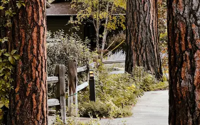 The Cottages at Bigfork