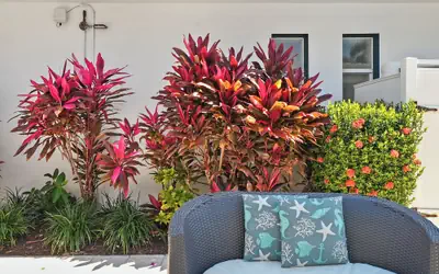 Hollywood Beach Suites