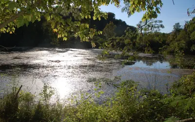 Creekwalk Inn and Cabins