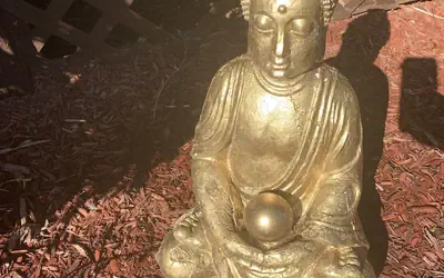 Log Cabin in the Field