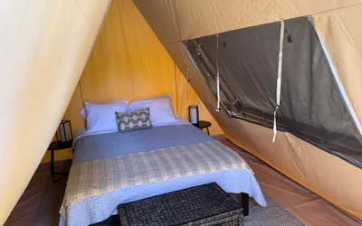 Summer Glamping on Lake Livingston
