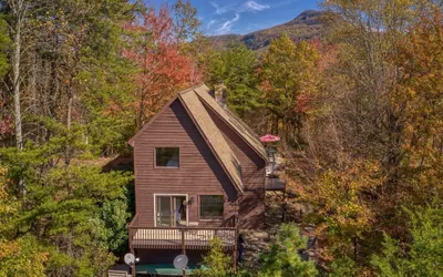 Wildwood Vista - Pet Friendly, Resort