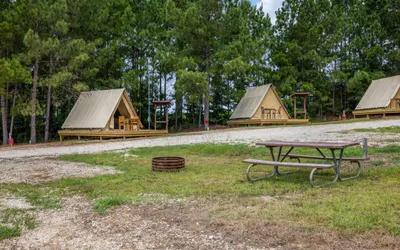 Glamping Under the Stars at Lake Livingston