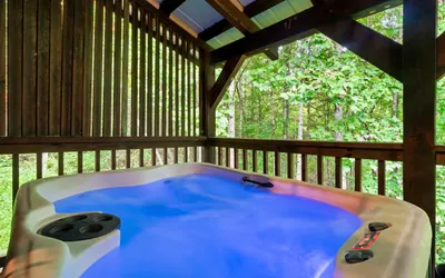 Pool Table~Hot Tub~3 Miles Gburg Arts and Crafts