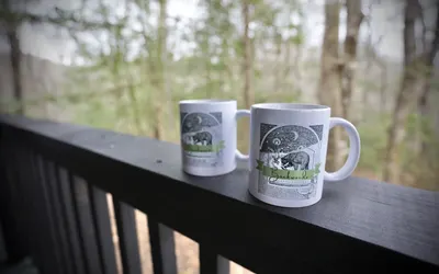 Newly Remodeled! Short Drive to Dollywood & Gburg!