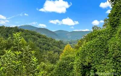 Juve' Cabin by Carolina Properties - Fire Pit, Big Views, Mirror Lake Access!