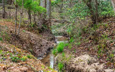 Gillford Cabin - Pet Friendly, Creek, Lake Access!