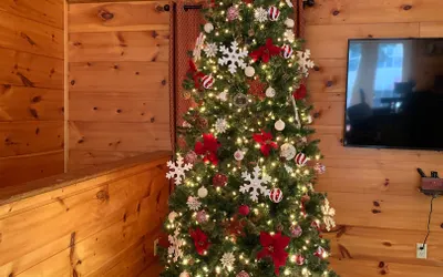 10 Mins to Downtown Gatlinburg~HotTub~Rockytop