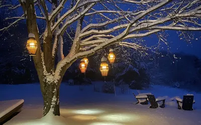 Blue Hill Farm|Dock Slip|Hot Tub|9 Beds|Pet Friendly