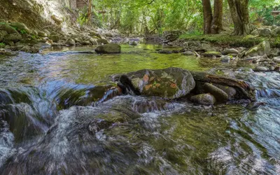 Creek Heaven