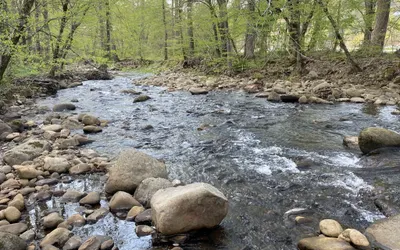 Home Sweet Home on Cosby Creek