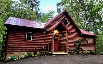 Cubs in the Treetops Log Cabin