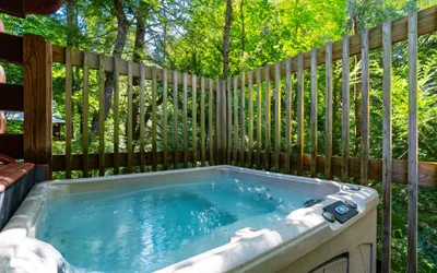 Cubs in the Treetops Log Cabin