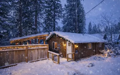 Peace of Pine | Quiet Cabin Nights | Log cabin | Hot tub