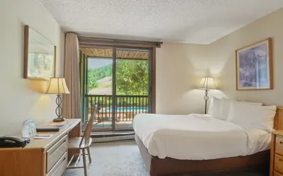 Foxpine Studio  #112